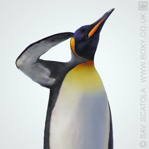 Image International Polar Year Penguin